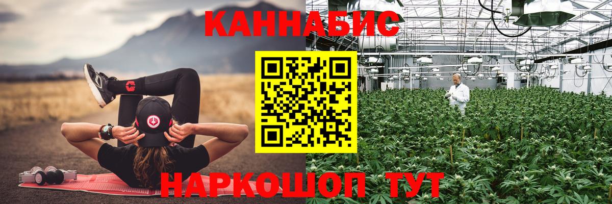 Канабис ГИДРОПОН  Каннабис OG Kush  Конопля White Widow  Конопля план  Златоуст  Вход с VPN 